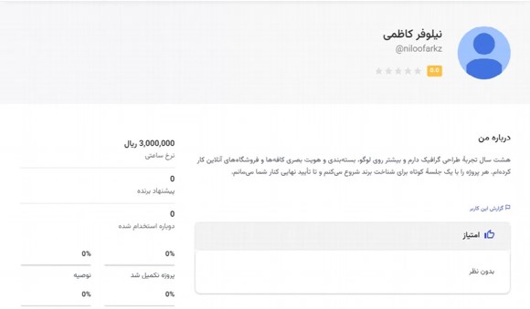 نمای عمومی پروفایل: نام، نرخ ساعتی و توضیحات
